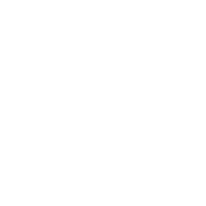 Five Starr Cleaning White Logo